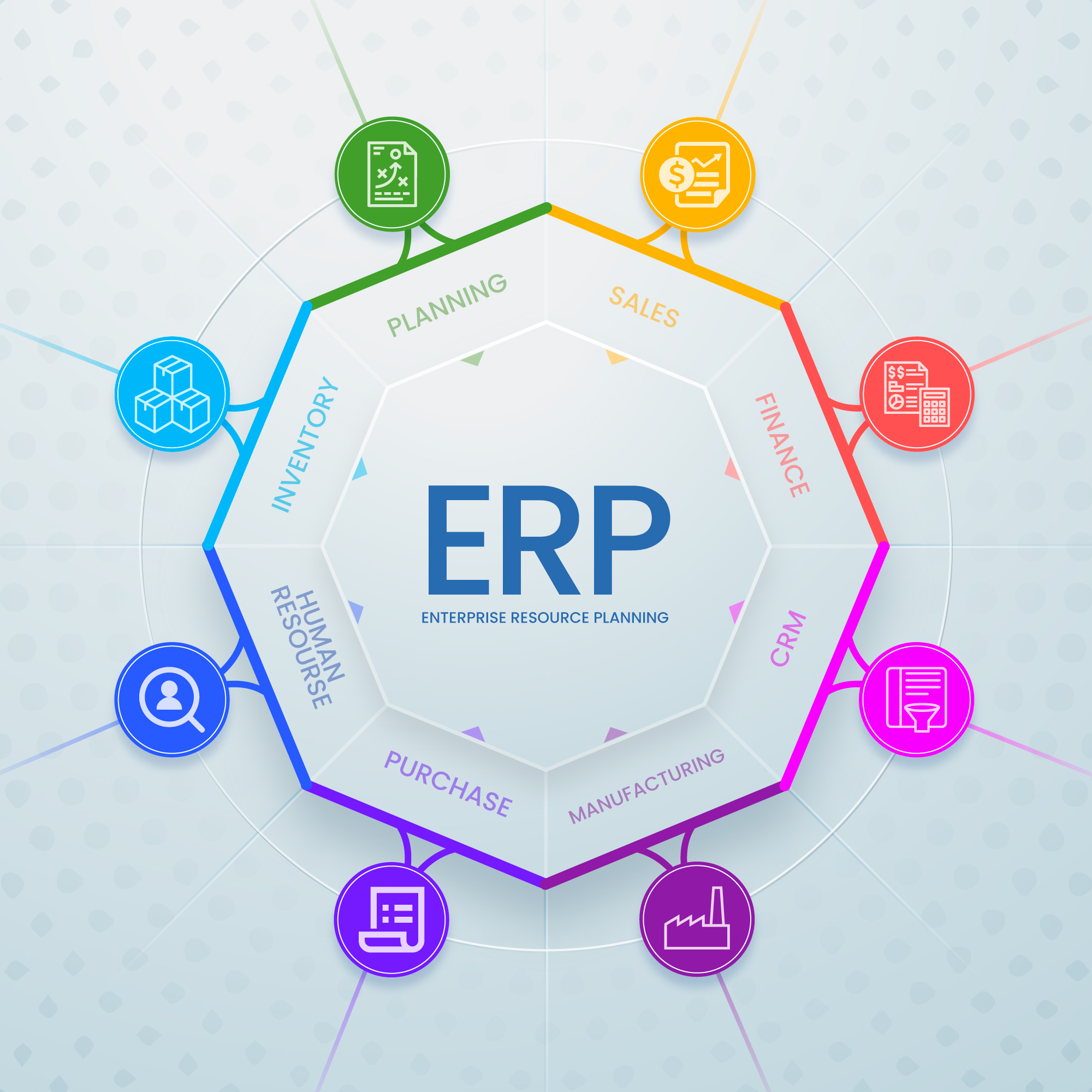 IndiAps ERP System Overview